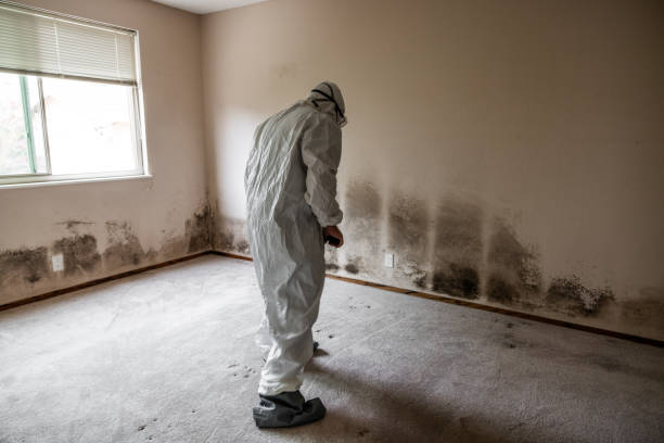 Best Mold Testing  in Penitas, TX